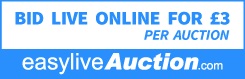 Easy Live Auction